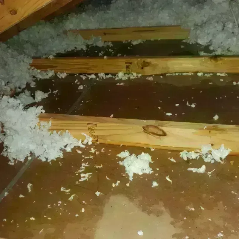 Attic Water Damage in Wayne County, OH