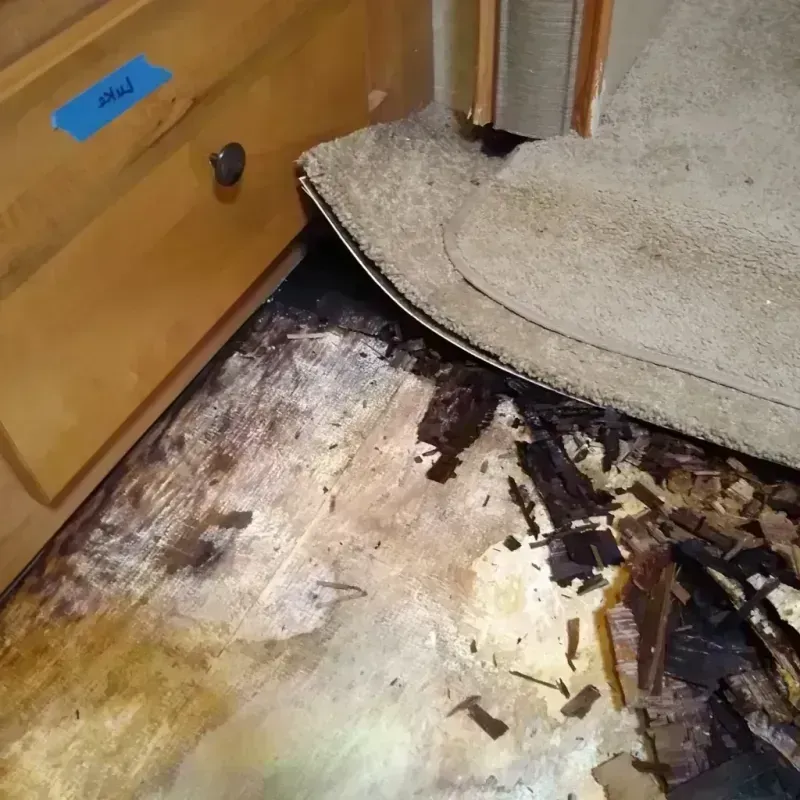 Wood Floor Water Damage in Wayne County, OH